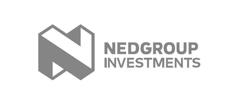 Nedgroup logo